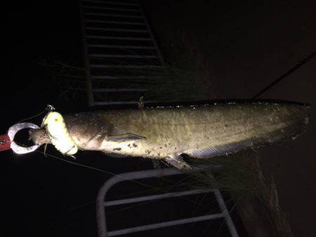 ナイトウォーカー